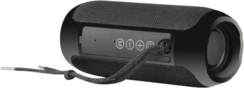 Zebronics Speakers